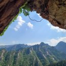 고잔서울약국 이미지