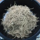 범일한의원 이미지