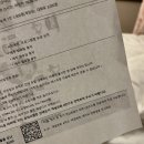 라센느디자인 | [내돈내산] 제주/제주시/중문 롯데 호텔 숙박 후기 #디럭스 마운틴 더블룸 #제주 5성급 호텔 #제주...