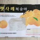 철호농장 이미지