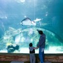 펭귄식당부천점 | 부천 아쿠아리움 주차 아이랑 근처 가볼만한곳 데이트 놀거리 추천