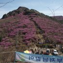 여수 영취산 (靈鷲山) 510m 1부 이미지