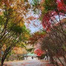 완주-대둔산(878m) &amp; 대전서구-장태산 자연휴양림 트래킹 이미지