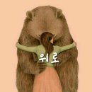 (주)이오공감 이미지