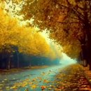 길안경원 이미지