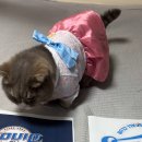 만식이네 이미지