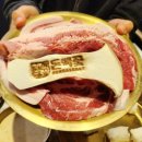 돈백꽃서귀포점 이미지