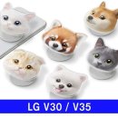 멍냥이 스토리 이미지