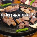 수원-1965 | 수원 매탄동 질좋은 고기 맛집 탄향1965 매탄점 내돈내산