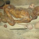 미라 진저(Gebelein predynastic mummies) - 대영박물관 이미지
