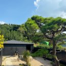 여주현:동천_감성숙소펜션 이미지