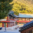 도리사로 이미지