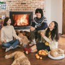 제주이야기 민박 이미지