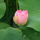 가정1-01-051 이미지