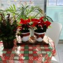 도토리공인중개사사무소 이미지