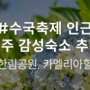 더감성 이미지