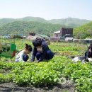 보령농장 이미지