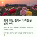 곡성-233 이미지