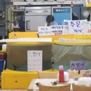 연후수산 이미지