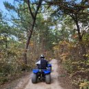 무지개레포츠 이미지