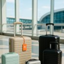 부라보어린이집 | 🧳 2025년 인기 여행캐리어 추천: 여행 타입별 사이즈&amp;브랜드 트렌드 분석