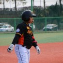 장항리틀야구장 이미지