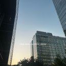 닥터로봇 | 광화문 디타워 맛집 닥터로빈에서 건강한데 맛있게 먹기