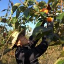 금오농협 이미지