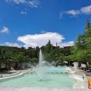 모에누베이커리 이미지