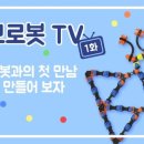 팀보 이미지