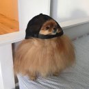 더 건강한 동물병원 이미지