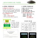 캐치파워 Daum카페