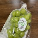 상주모동우체국 | 내돈내산 후기 :) 샤인머스켓 직거래 현가네 포도농원 왕추천!!!