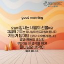 콩깍지 이미지