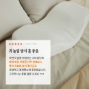 메모리제이 네이버블로그