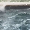 금이목장 이미지