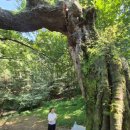 주식회사 지우정보기술 | 하남 점잘보는곳 추천 지우보살