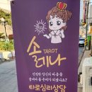 솔레나 타로 이미지