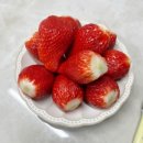 킹스베리 | 영팜올드팜 킹스베리 당일수확 산지직송 딸기 – 신선함이 다른 킹스베리 후기