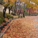 청주서현중학교 서울나들이 이미지