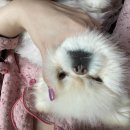 희동이의 하루 이미지