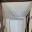 소노펠리체 델피노 이미지