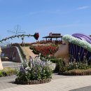 곡성 섬진강 기차마을 장미축제-2 이미지