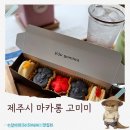 수&미봄봄북성로점 | 인생 돌하르방마카롱 제주공항 근처 제주시 수제마카롱 맛집 고미미 후기