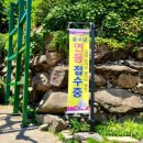 용인농촌테마파크 야외화장실 | 용인 와우정사 용인 명소 (와우정사 근처 카페 맛집 정보)