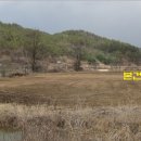 월산400