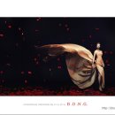 스튜디오 봉 이미지