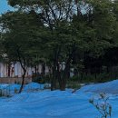 다빈자동차공업사 이미지