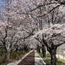 맘스터치 덕두점 | 부산/강서구,김해공항 식당_스시투어(야끼우동 맛집)