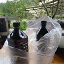 머위, 엄순이, 국간장드립니다 이미지